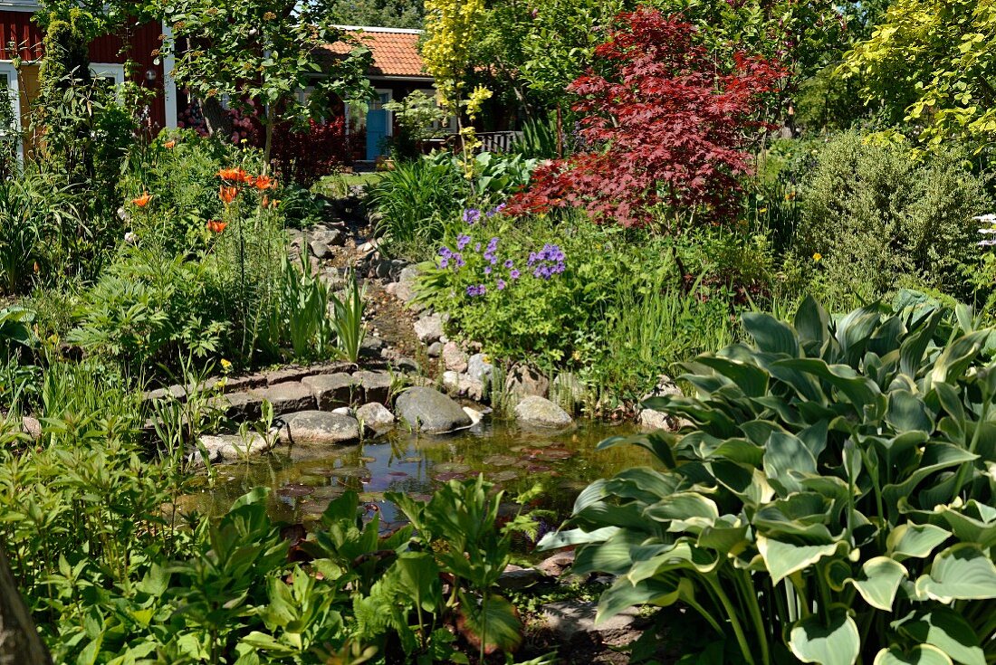 Grünpflanzen um Teich und blühende Blumen in sommerlichem Garten