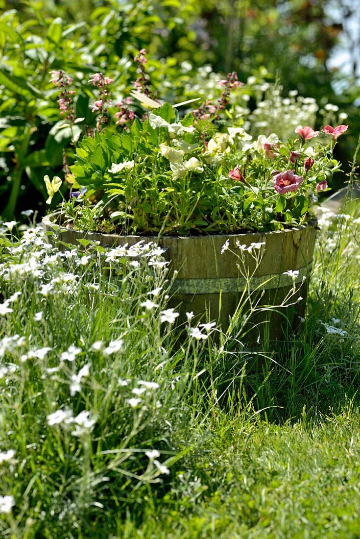 Blühende Blumen und bepflanzter Holzzuber in sommerlichem Garten