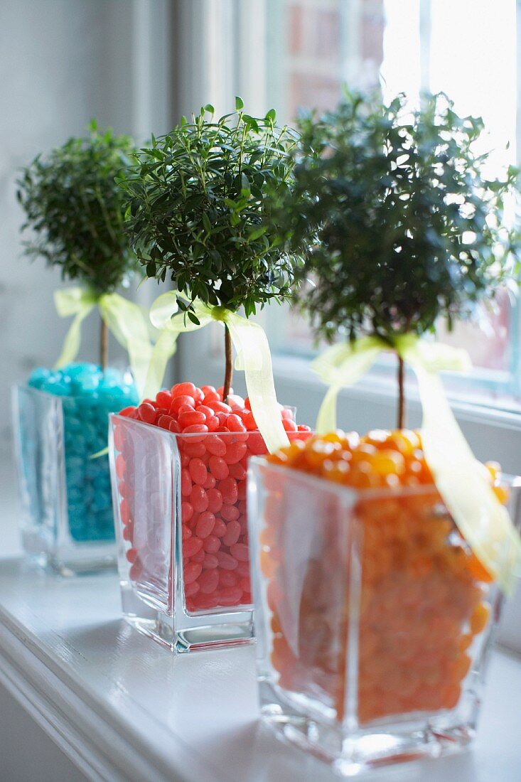 Dekobäumchen in Glasvasen mit bunten Bonbons
