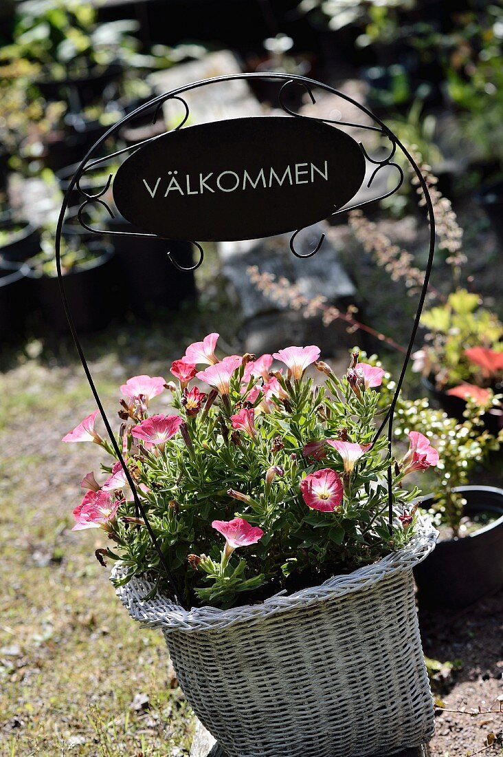 Welcome sign in white basket planted with pink petunias