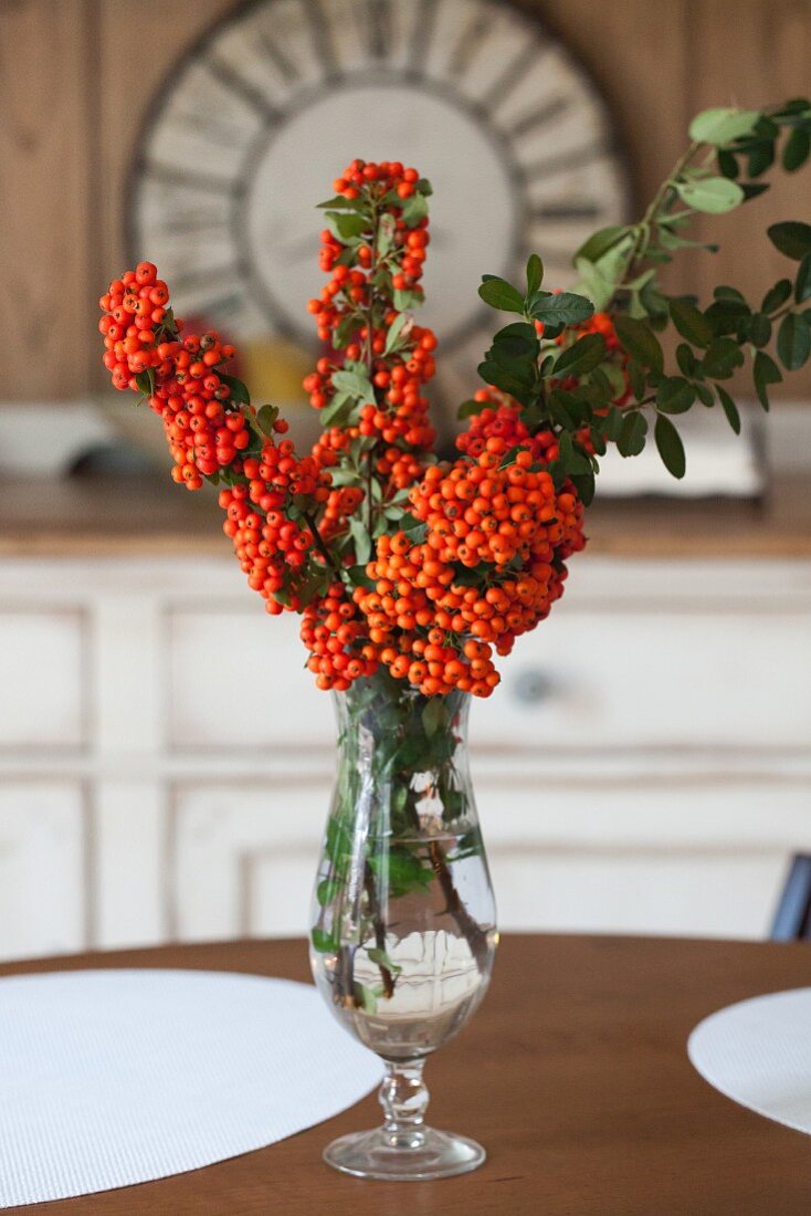 Branches of pyracantha berries in vase