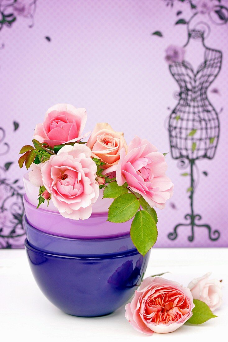 Pinkfarbene Rosenblüten in gestapelten Keramikschälchen