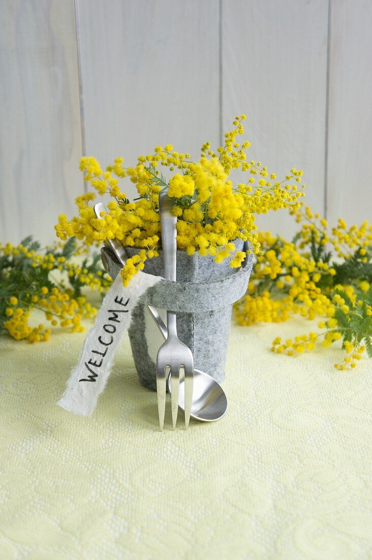 Felt pot of mimosa with motto and cutlery