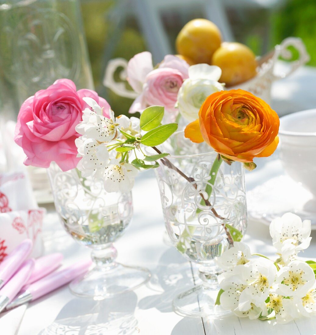 Ranunculus of various colours and white blossom in nostalgic stemware glasses on garden table in sunshine