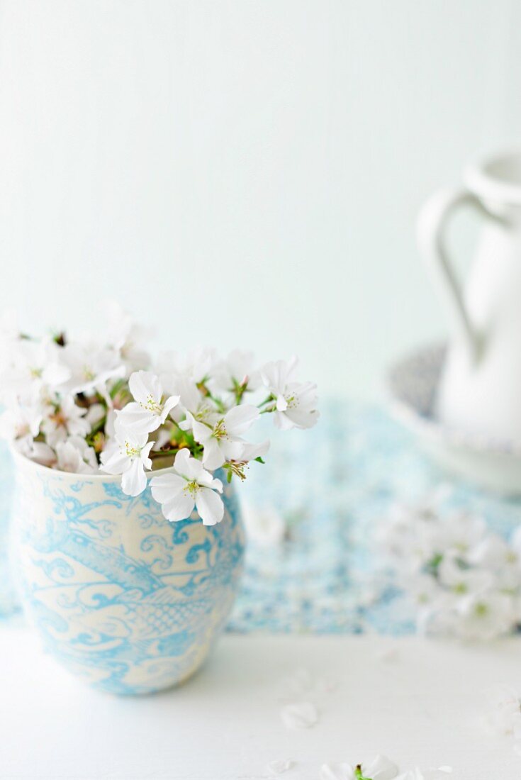 weiße Kirschblüten in Vase