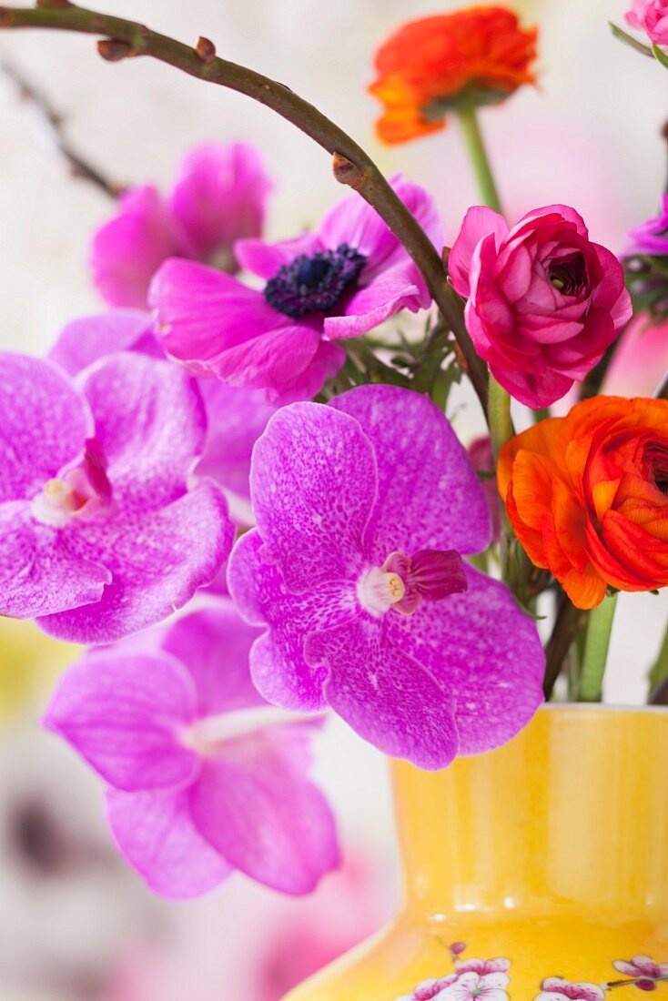 Orchideenblüte mit Anemonen und Ranunkeln in gelber Vase
