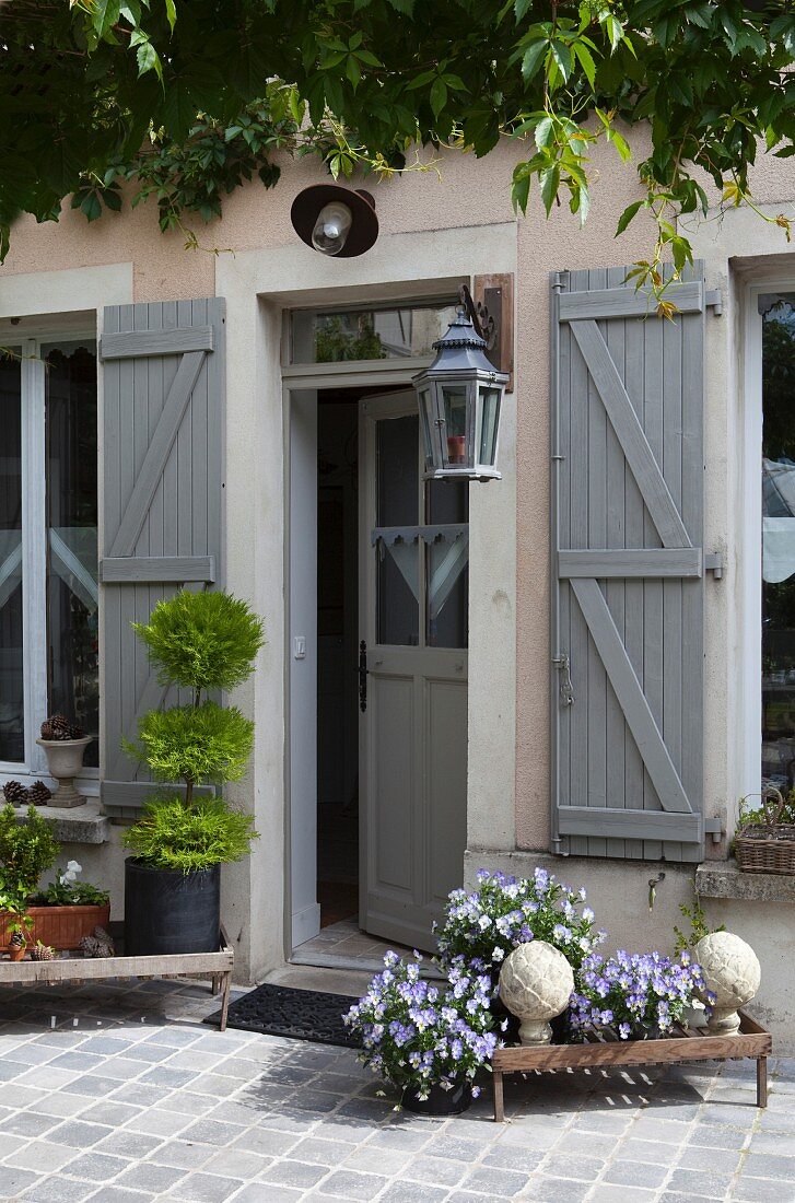 Blühende Hornveilchen auf Vintage Blumenbank vor restauriertem Landhaus mit grau lackierten Fensterläden
