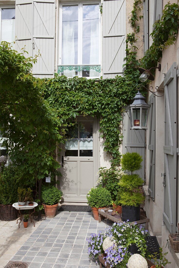 Topfpflanzen im Innenhof auf gepflastertem Boden und begrünte Fassade eines restaurierten Landhauses mit grauen Fensterläden