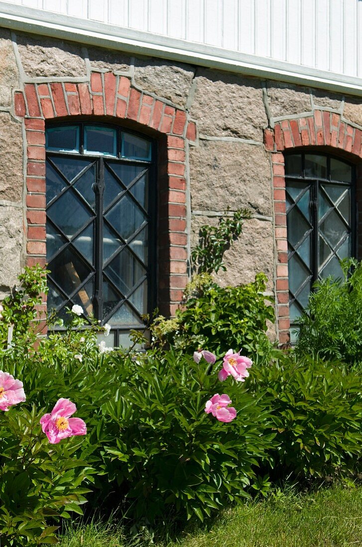 Natursteinfassade und ziegelumrahmte Fenster im Erdgeschoss eines historischen, Landsitzes, davor eine blühende Staudenreihe