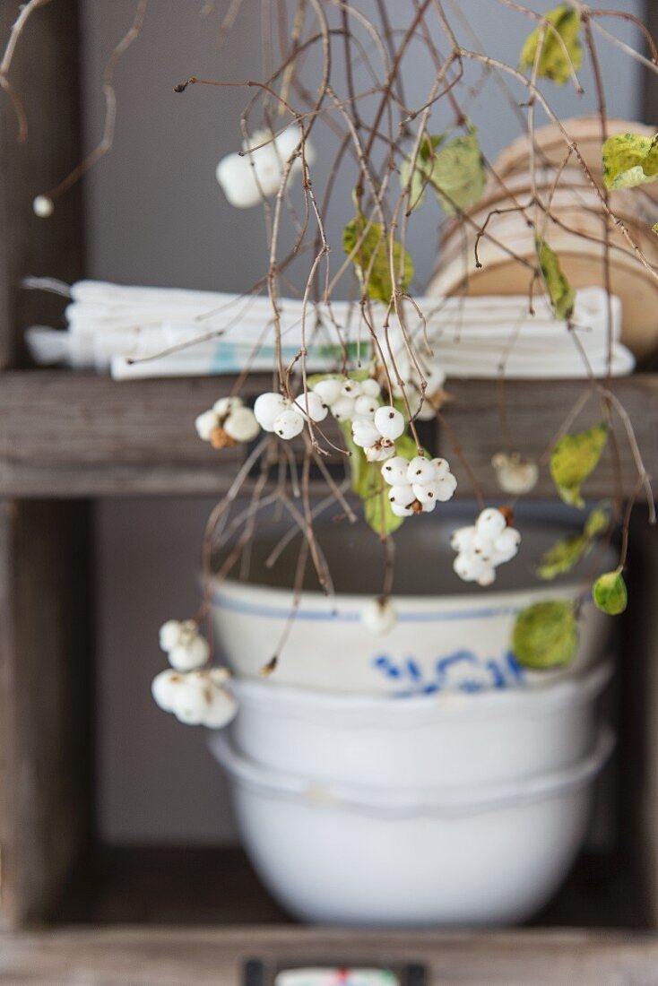 Snowberry branches in front of crockery on shelves