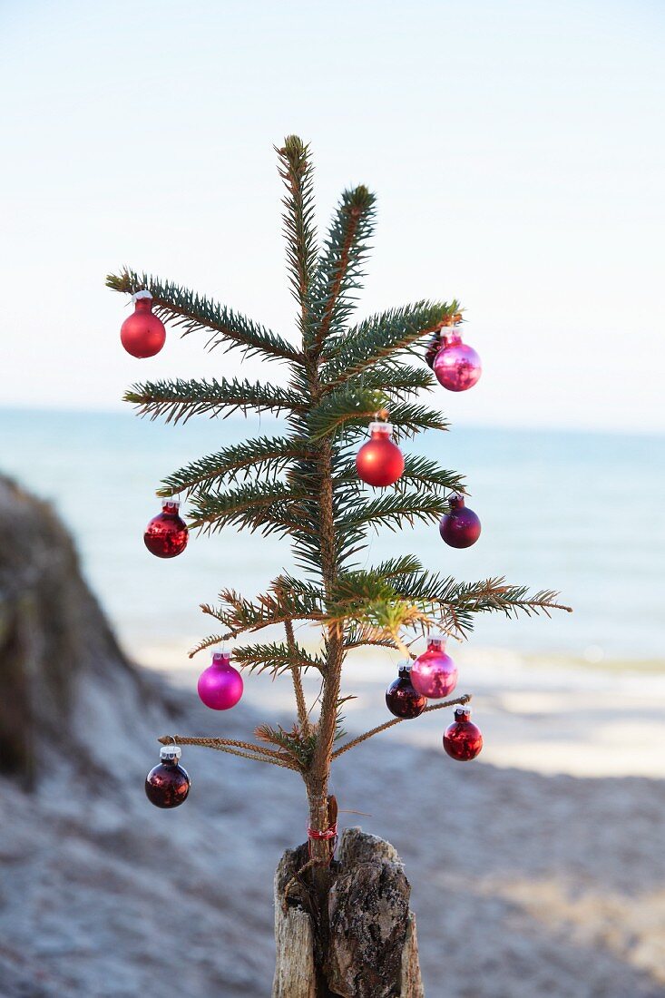 Mit Weihnachtskugeln dekorierter Tannenzweig in Holzpfosten gesteckt, im Hintergrund Meerufer