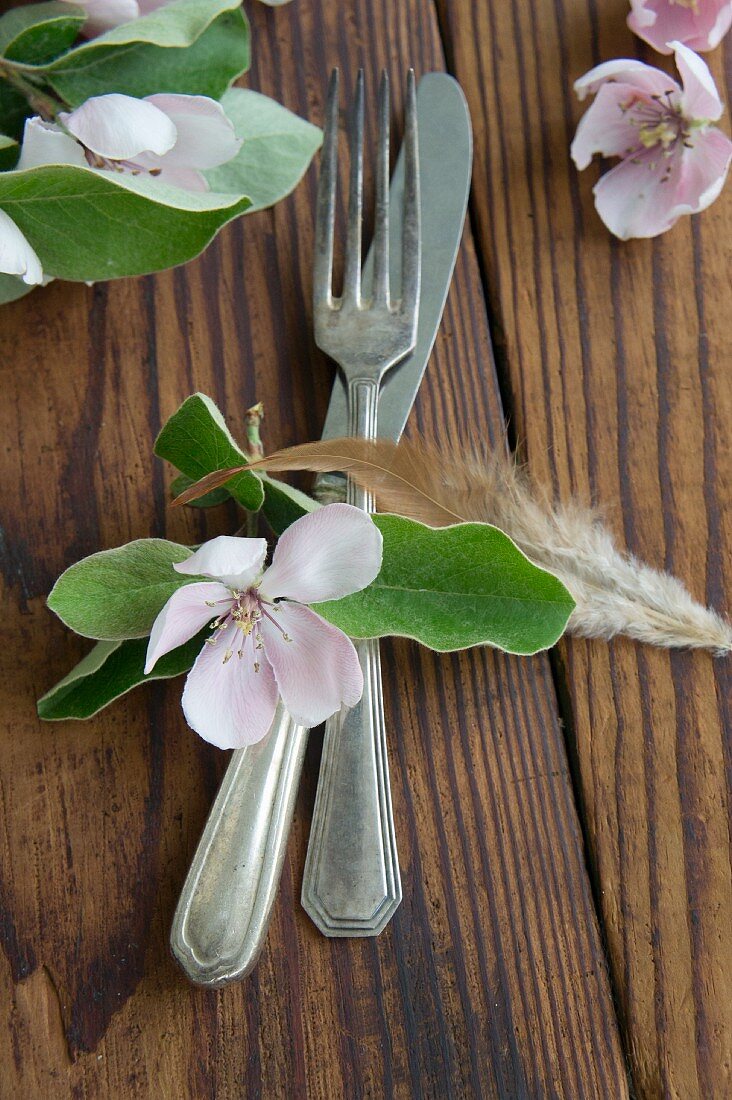 Silver cutlery, quince flower and feather