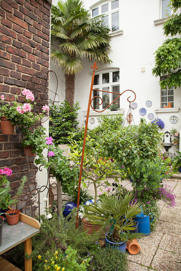 Mit Topfpflanzen und Palme begrünter Innenhof, seitlich alte Backsteinwand, im Hintergrund weiße Putzfassade