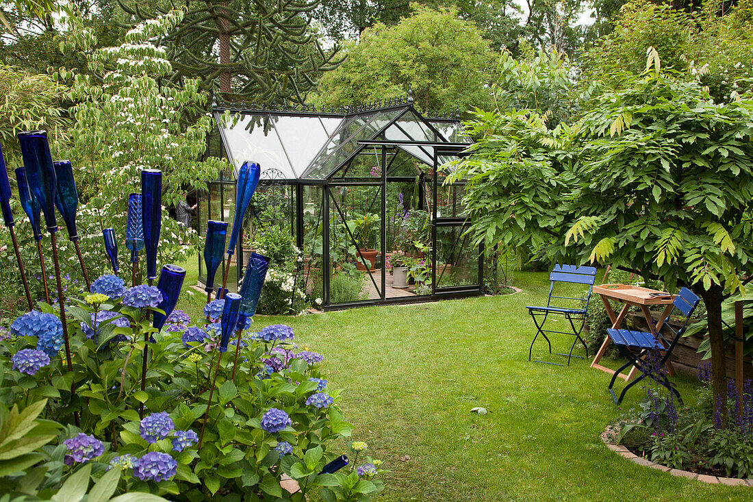 Blaue Stühle, Deko-Flaschen und blaue Hortensien im Garten mit Gewächshaus