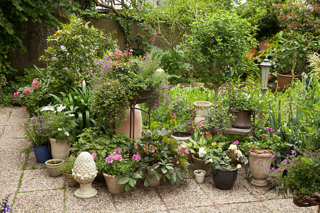 Topfpflanzen und Gartendeko auf Terrassenplatten in begrüntem Innenhof