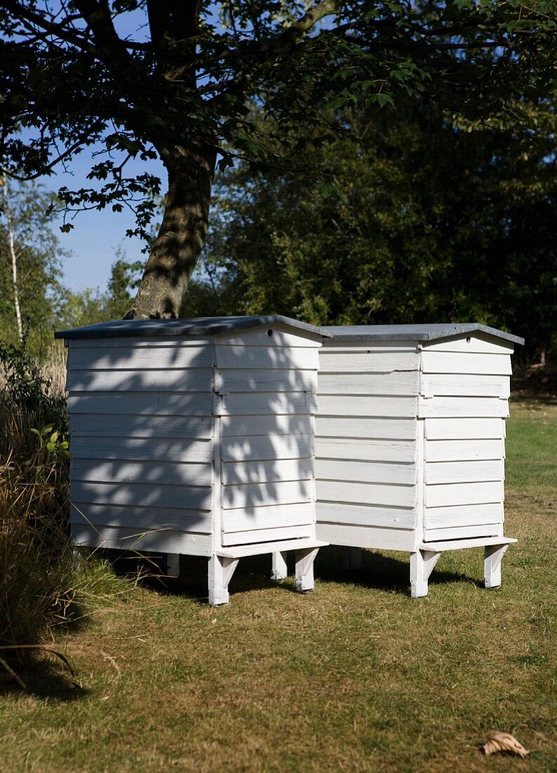 Dänische Trogbeuten für Bienen (Imkerei) im Garten
