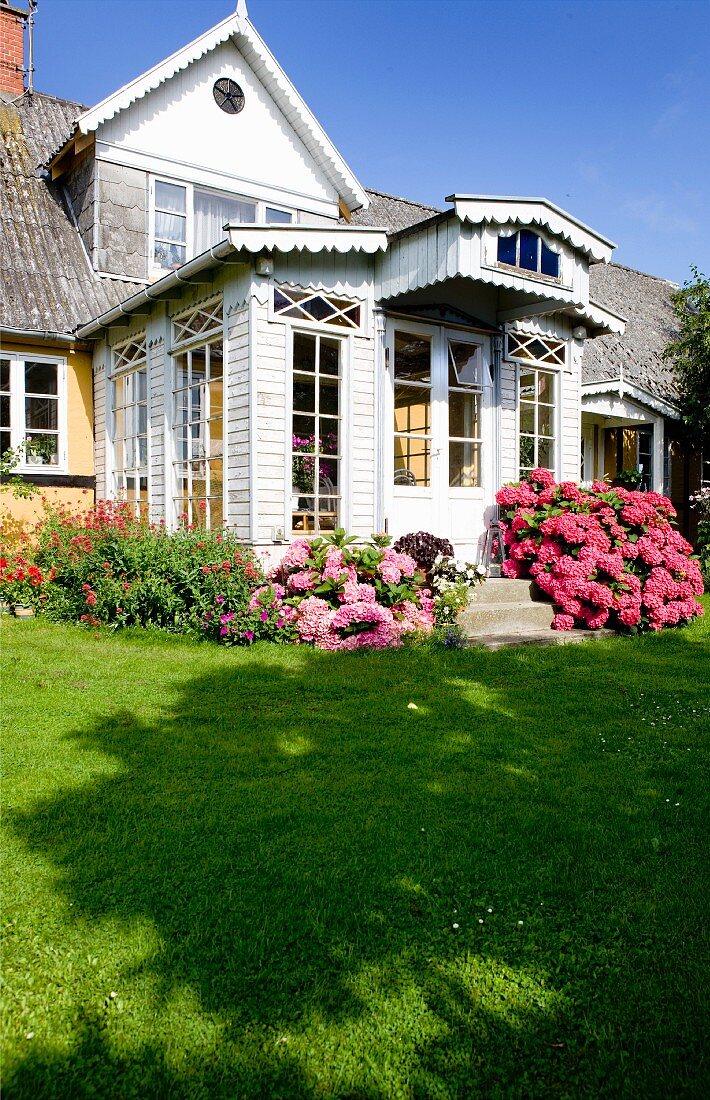 View from garden to house with white wooden conservatory flanked by pink-flowering hydrangeas