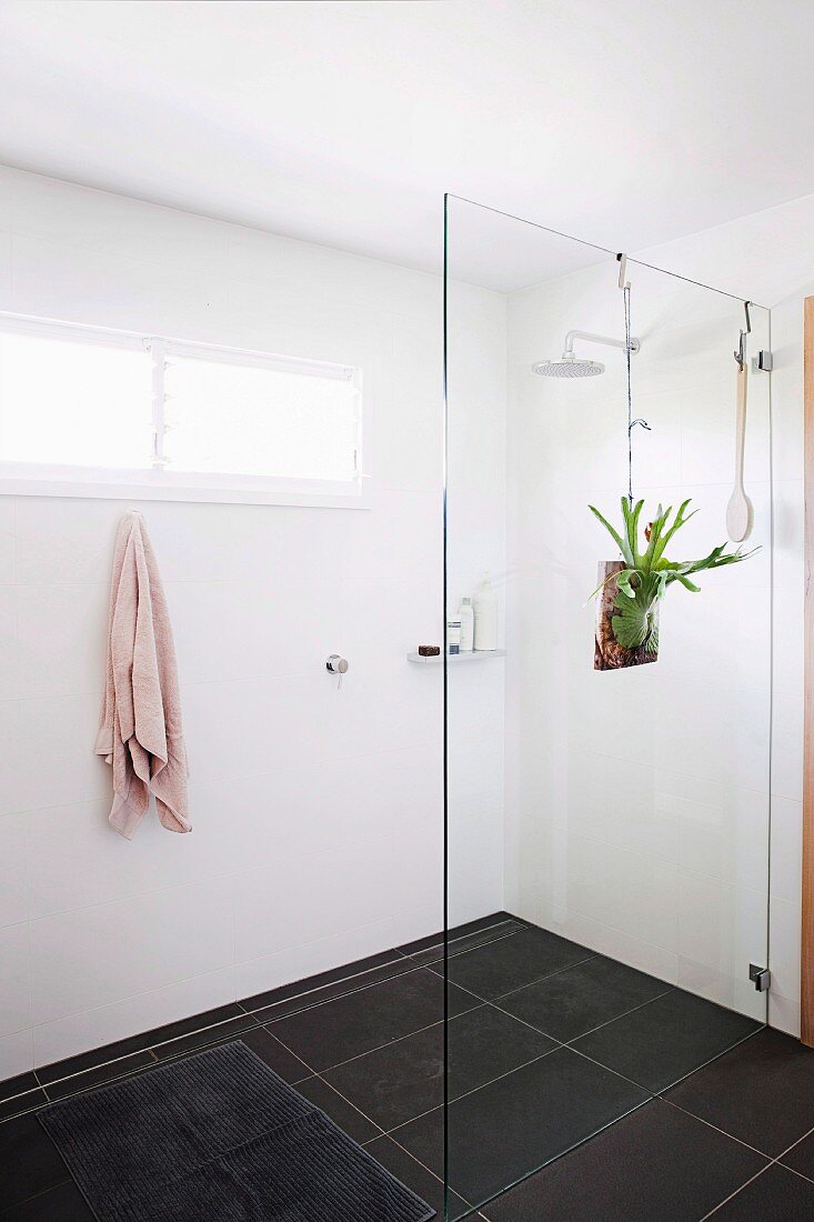Reduzierter weißer Duschbereich mit schwarzen Bodenfliesen, Glasabtrennung und Pflanzendeko