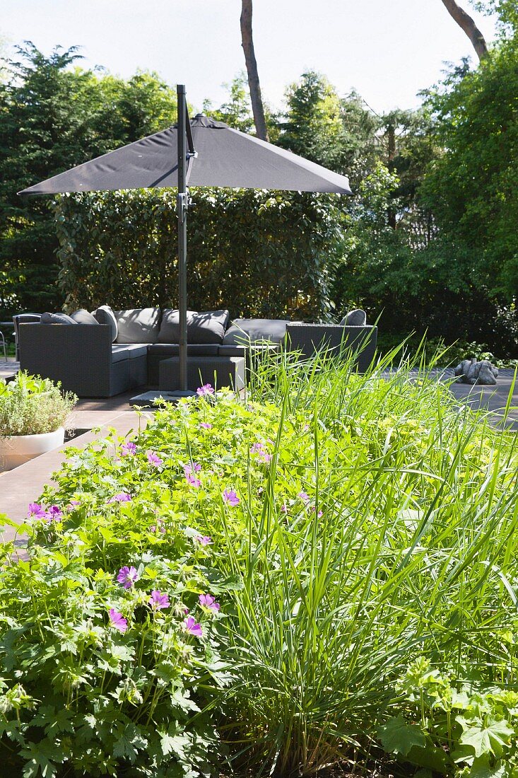 Gemütlicher, eleganter Gartenplatz mit grauen, modernen Rattanmöbeln, Sonnenschirm und grüner Rabatte