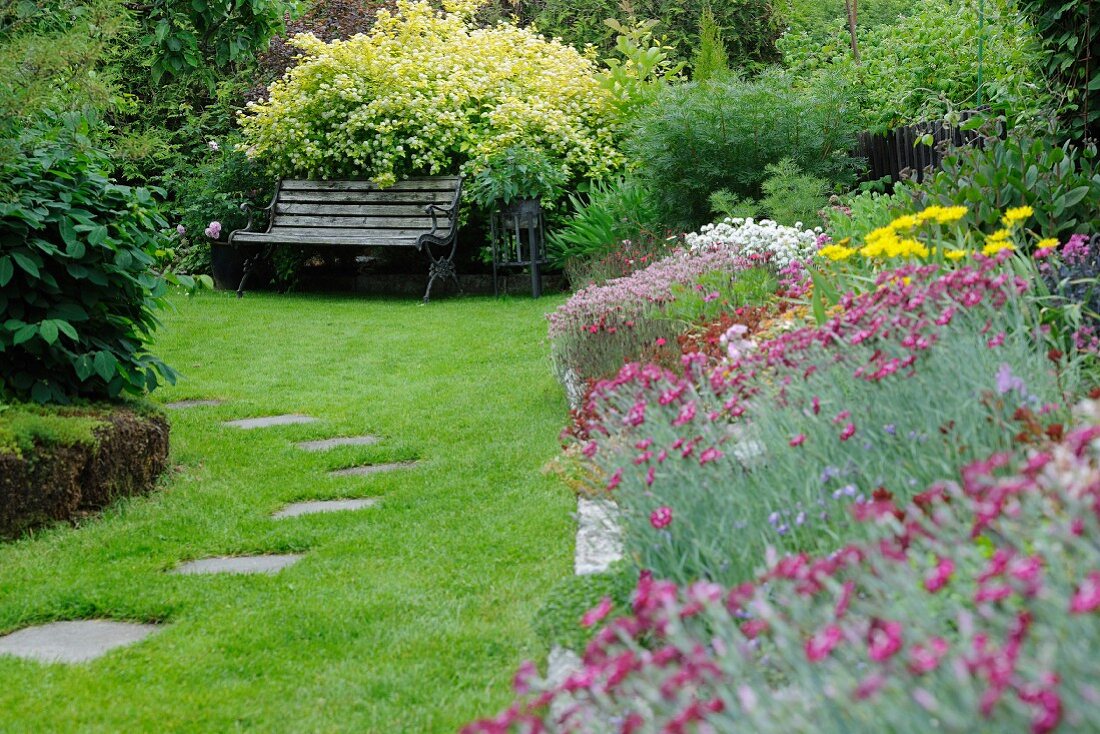 Various flowering plants in summer garden (antennaria in foreground spirea behind bench) and stepping stones in clipped lawn