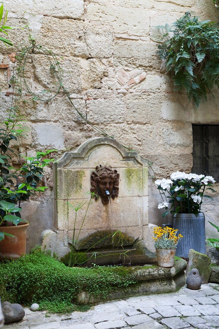 Stone pool and head-shaped waterspout on stone courtyard wall