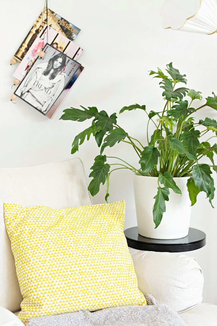 Gelb-weiss gemustertes Kissen auf Sessel, daneben Zimmerpflanze auf schwarzem Blumenständer