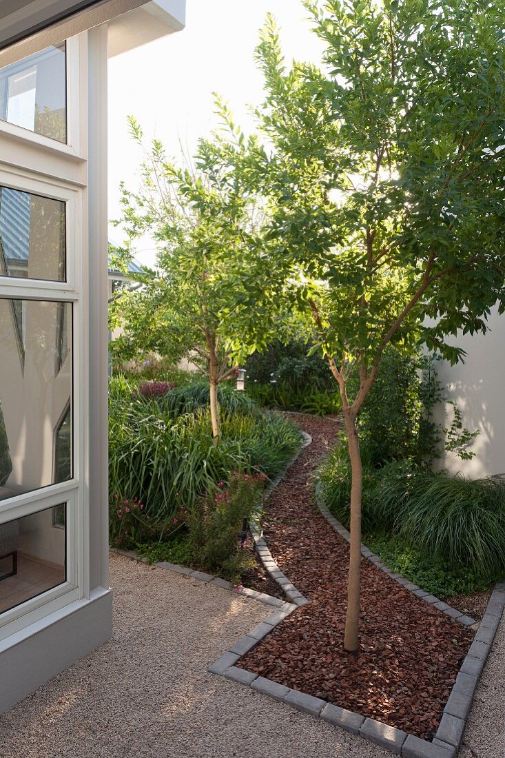 Curved garden path covered with bark mulch