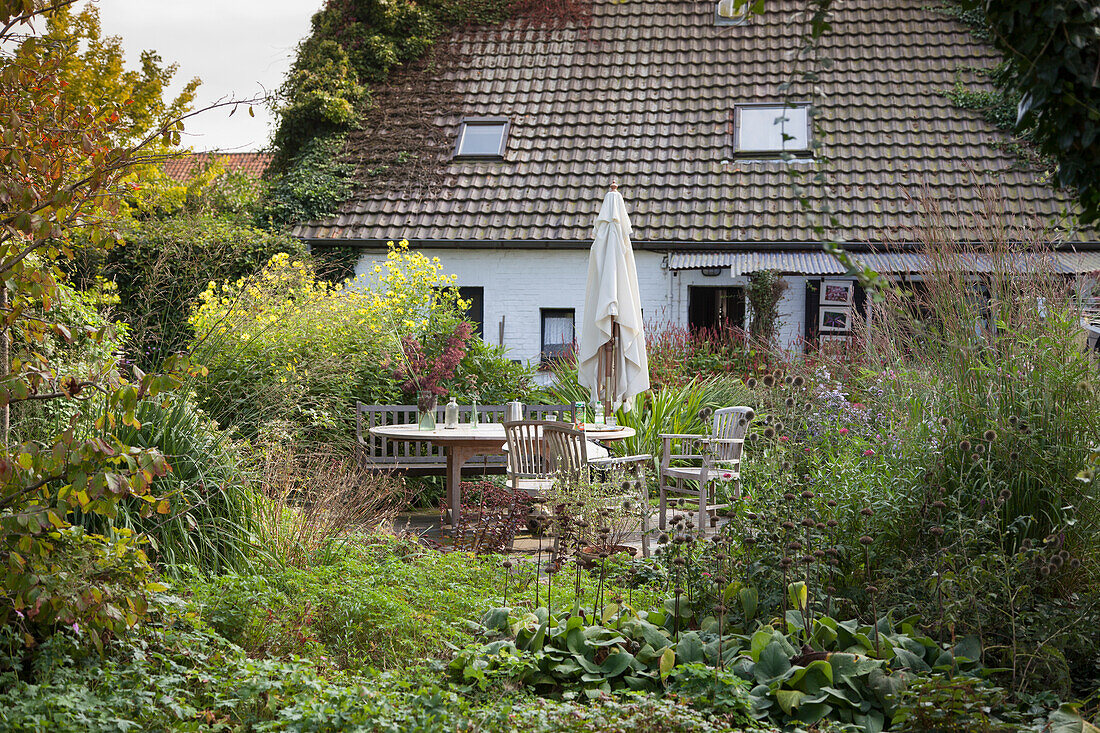 Terrassenplatz mit Outdoormöbel aus Holz in dicht bewachsenem Garten