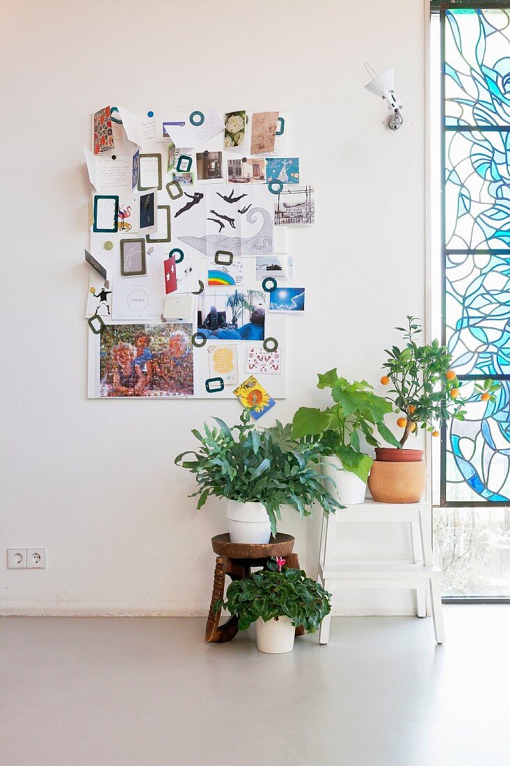 Blumentöpfe auf verschiedenen Hockern vor Pinnwand, seitlich teilweise sichtbares Fenster mit farbiger Glasfüllung