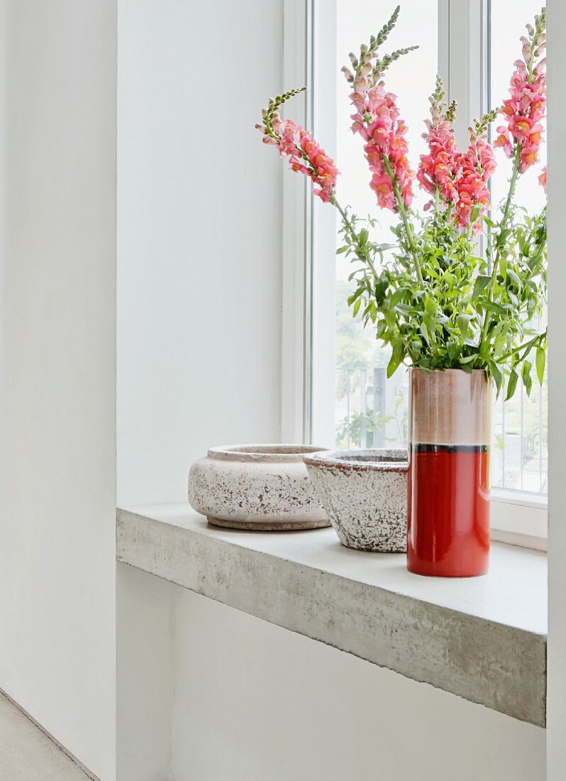 Vase of snapdragons on concrete windowsill