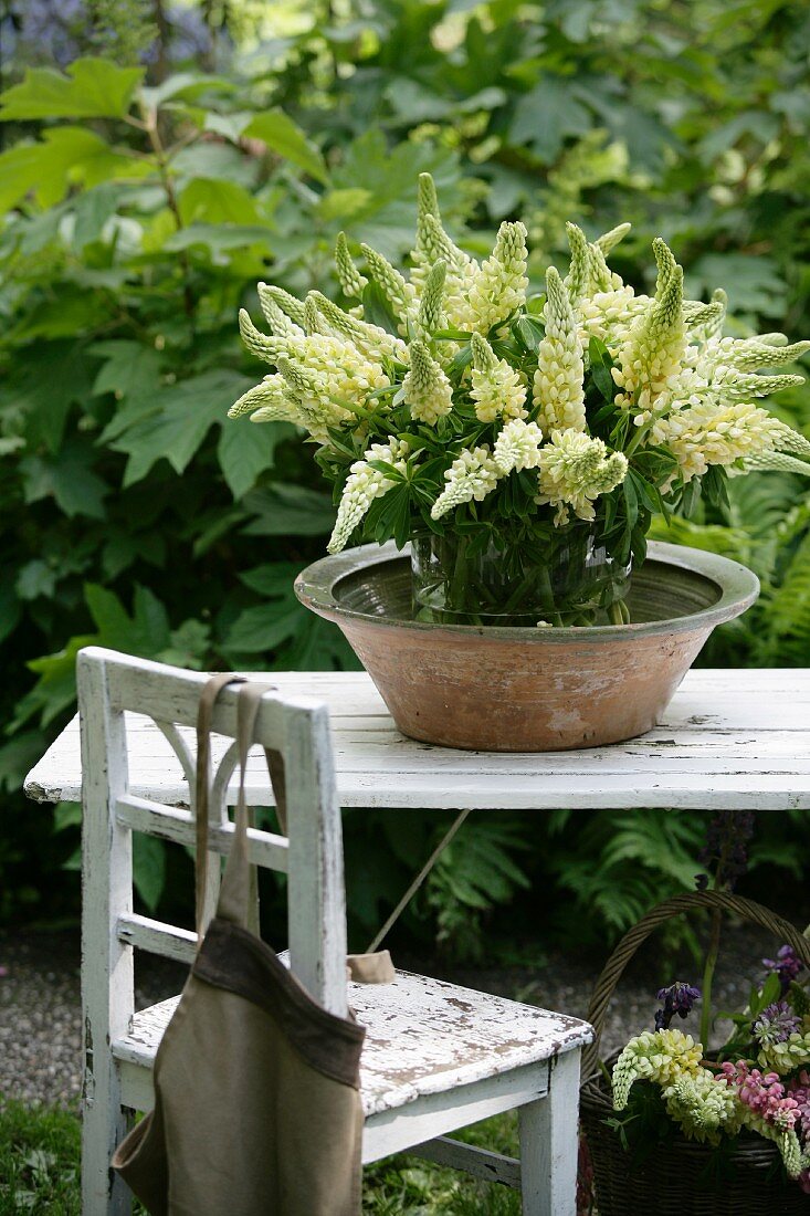 Weisser Lupinenstrauss in Keramikschale gestellt, auf weißem Holztisch und Stuhl im Garten