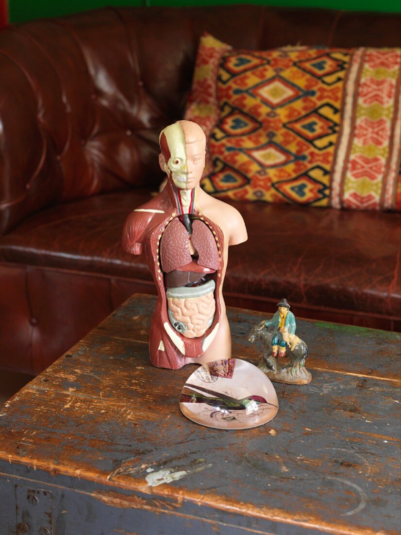 Medizinische Modellfigur und Glas Halbkugel auf Holzuntergrund mit abblätternder Farbe