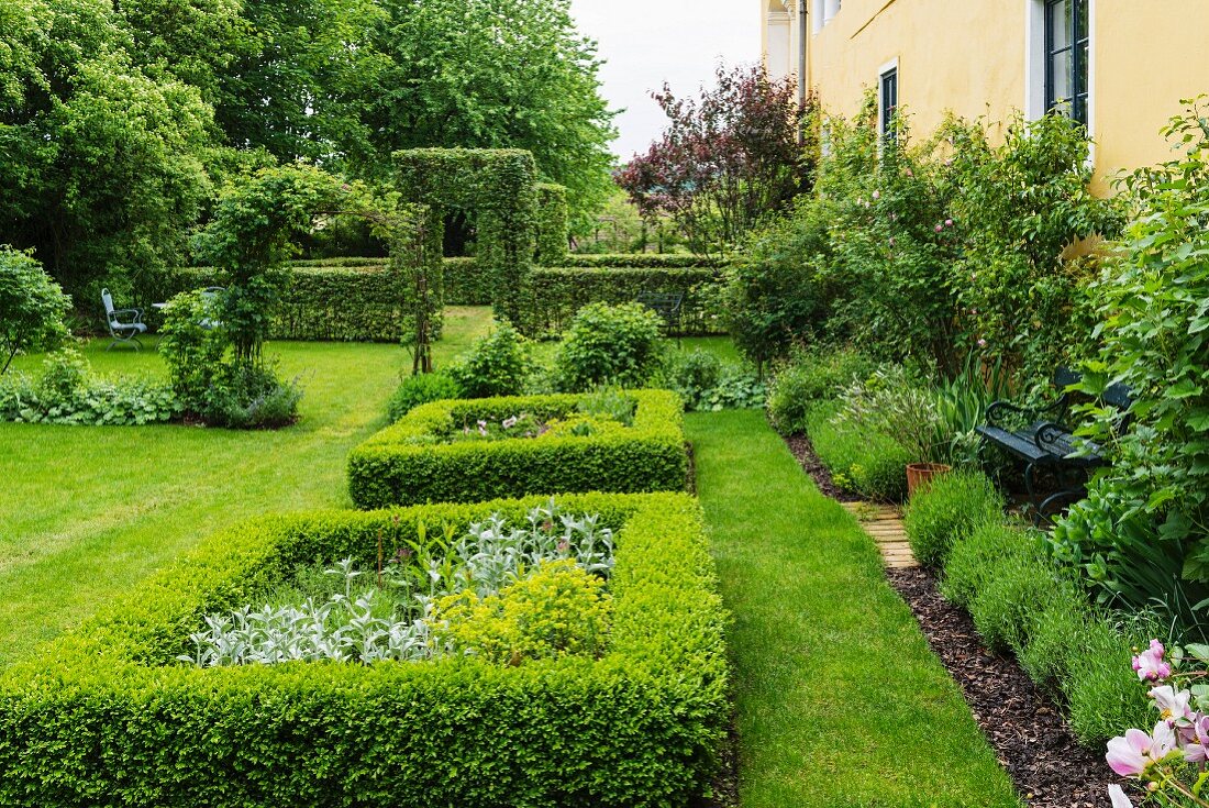 Quadratische Rabatte mit niedriger Hecke, in sommerlichem Garten