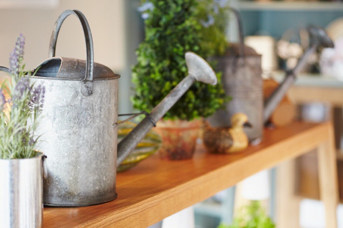 Watering cans, lavender and potted plant on wooden bench