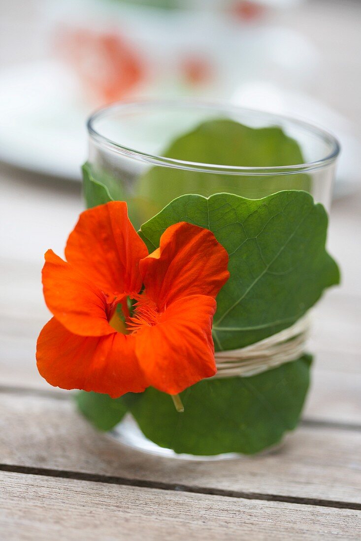 Tealight holder made of glass wrapped with nasturtium leaves and flower