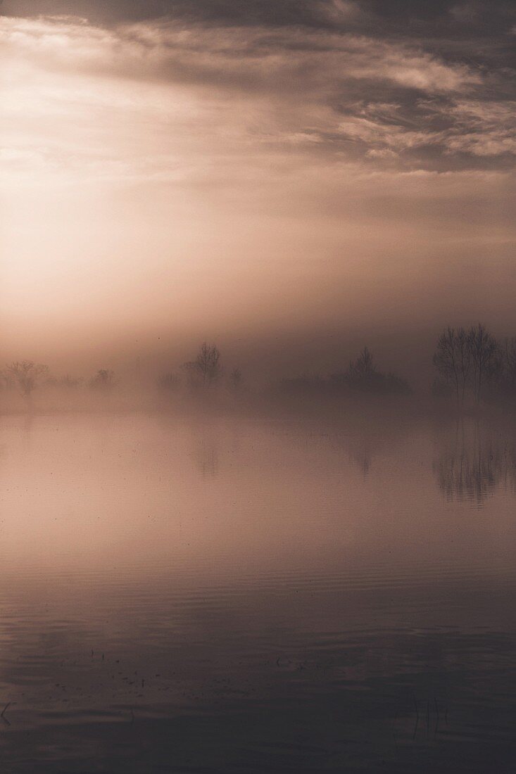 Trees reflected in misty lake, Gloucestershire, England, UK