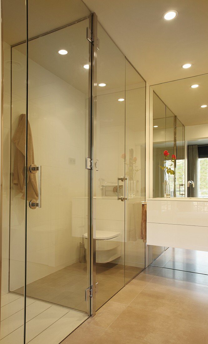 White washstand and large mirror next to glazed toilet cubicle