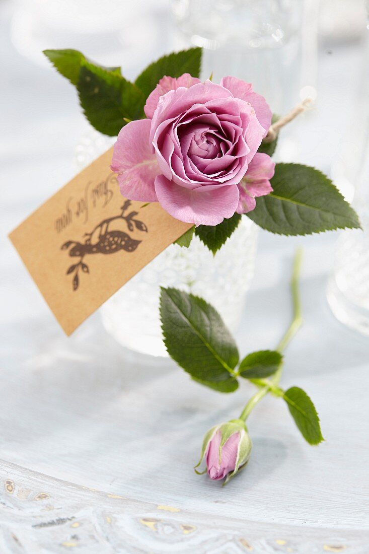 Lilafarbene Rose mit Kärtchen in Glasvase
