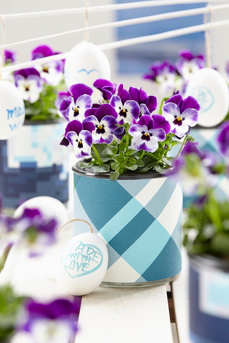 Painted Easter eggs & purple and white potted violas