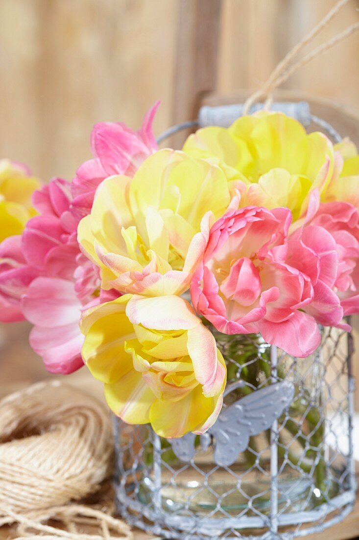 Gelbe & rosafarbene Tulpen der Sorte Upstar in Vasenhalter aus Draht