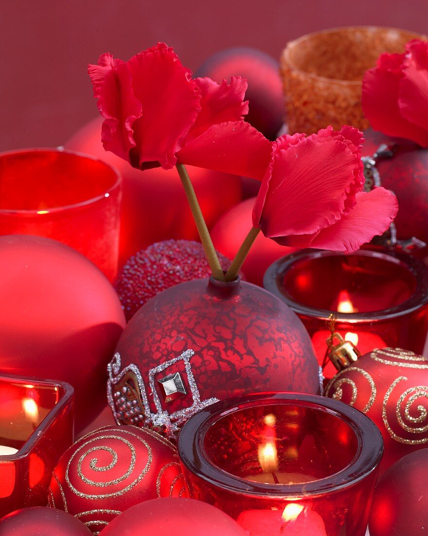 Weihnachtliche Dekoration mit roten Alpenveilchenblüten, Christbaumkugeln & Teelichthaltern