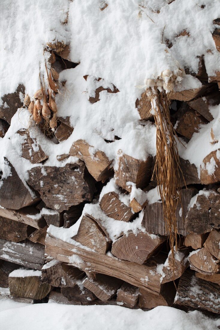 Snowy stack of firewood