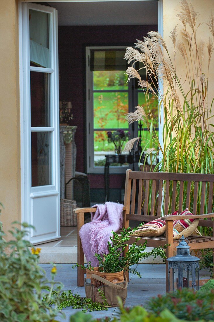 Gartenbank mit Plaid und Kissen vor Schilfgras auf Terrasse,