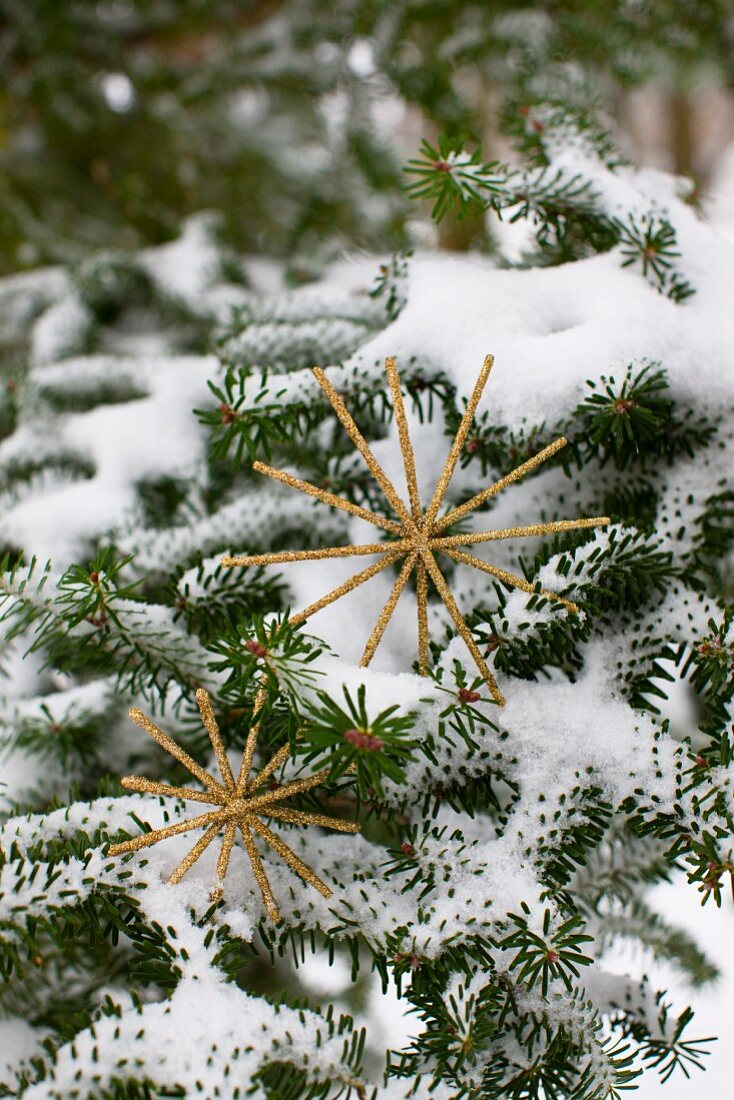 Two glittery, gold metal stars balanced on snowy fir branches