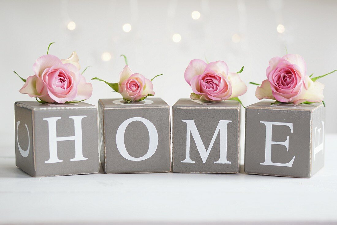 Pastellrosa Rosenblüten auf Pappwürfeln mit Typoprint 'HOME'