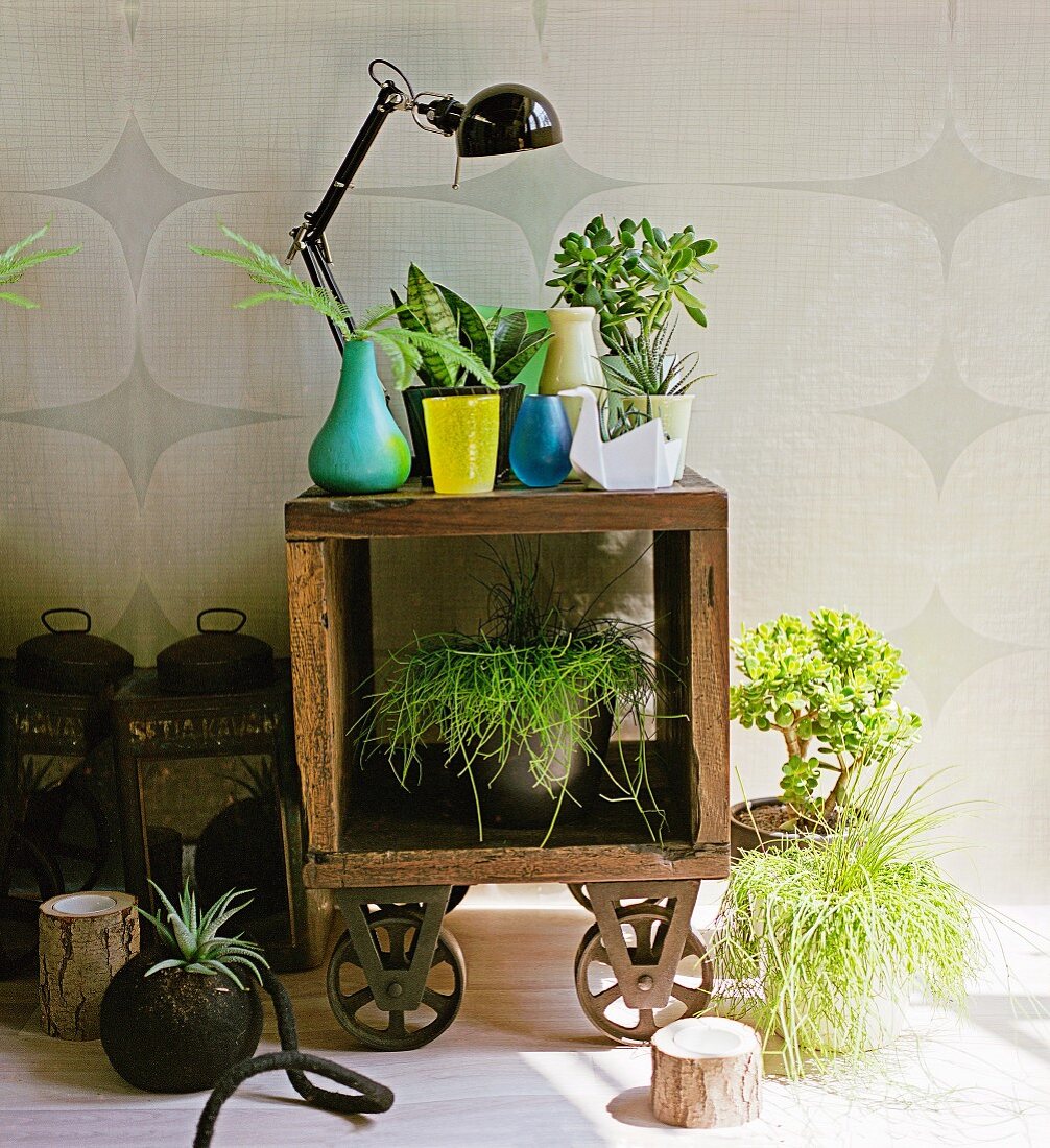 Mobile vintage shelf decorated with flower pots