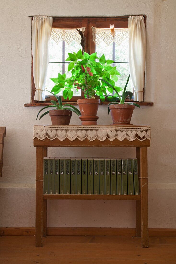 Pflanzentöpfe auf schlichtem Wandtisch mit Spitzenborte, am Bauernhausfenster