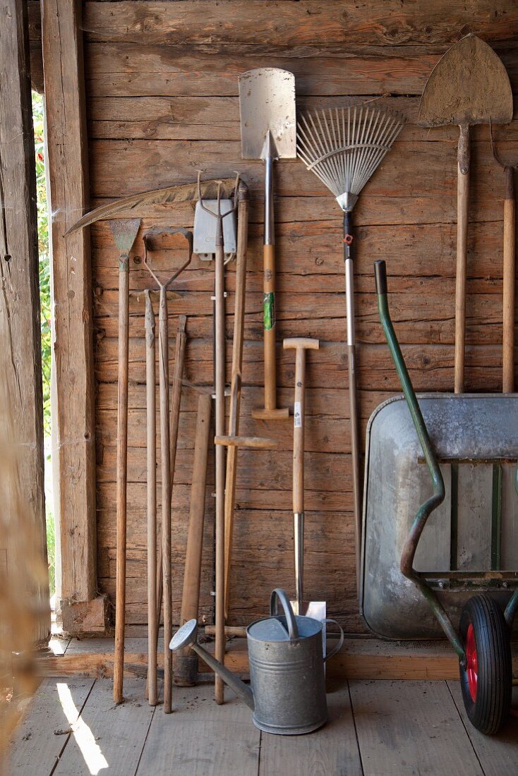 Gardening tools hung up in garden shed next to zinc watering can and wheelbarrow