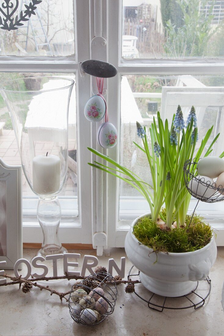 Romantic country-house arrangement of grape hyacinths and Easter eggs on windowsill