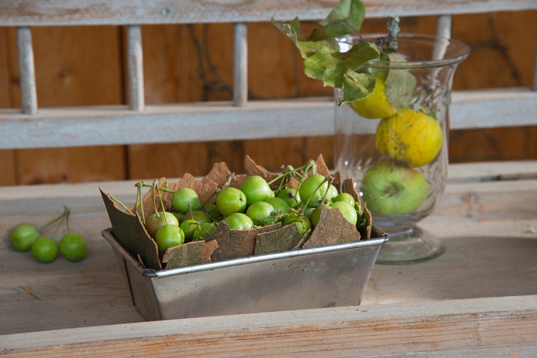 Kastenkuchenform mit Baumrindenstücke und grünen Äpfeln gefüllt und Glasbehälter mit Obst